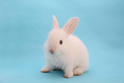grdr0067005735_0839613621pc.jpg