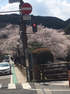 image0.jpeg