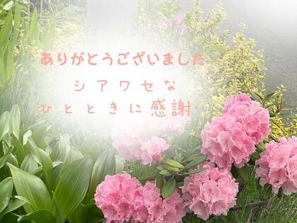 grdr0022328965_0724078888pc.jpg