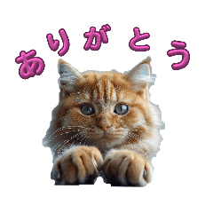 grdr0053392257_0734993941_02.png