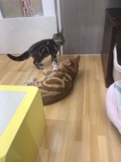 image1.jpeg