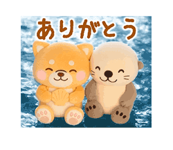 grdr0022329787_0729940364_10.gif