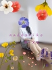 みゆ