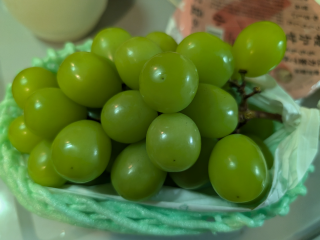 grdr0024624353_0729105606_03.png