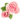 image05.gif