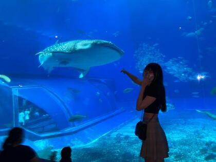 grdr0060611964_0736154838pc.jpg