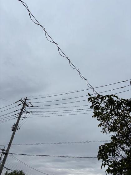 grdr0057195536_0747451871pc.jpg