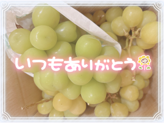 grdr0047858595_0741444046_08.png
