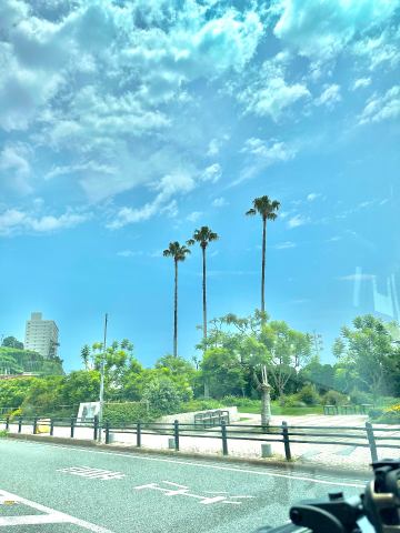 grdr0059621282_0727927689_01.png