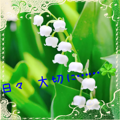 picture.png