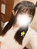 めろん