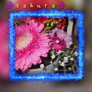 grdr0033633802_0720732487_16.png