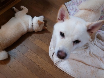 20260625_201155.JPG