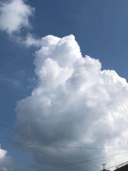 grdr0057195536_0726771150pc.jpg
