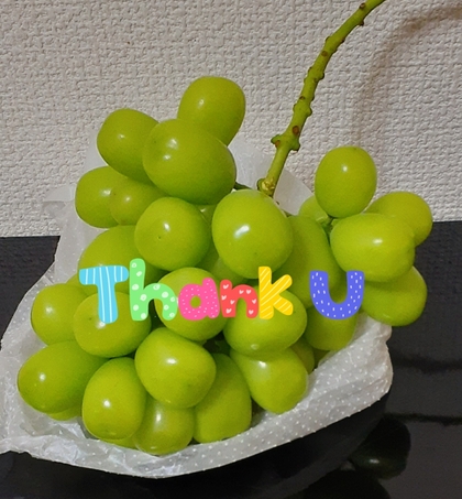 1000012981.jpg