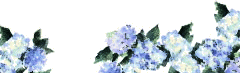 image24.gif