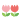 image04.gif