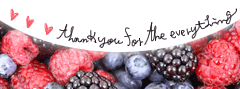 image25.gif