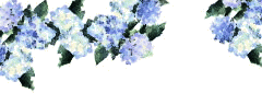image01.gif