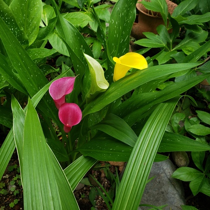 20260622_103016.jpg