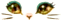18175277.gif