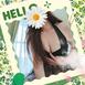 あゆみ