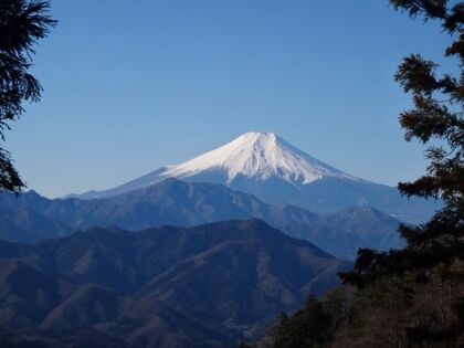 扇山からの富士.jpg