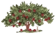5210416457839152751.gif