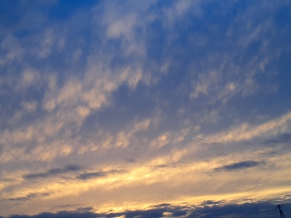 20260506_183713.jpg