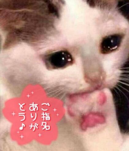 07739051.Image.jpg
