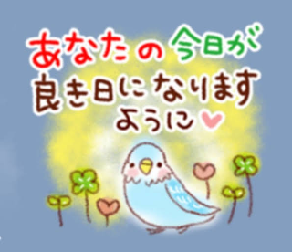 grdr0033635073_0401976423_05.png