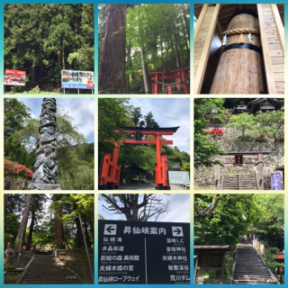 grdr0022329689_0716433159_48.png