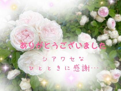 grdr0022328965_0717021777pc.jpg