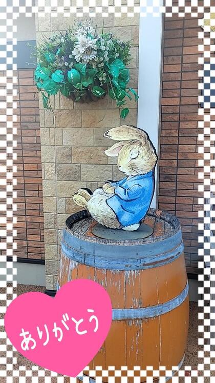 grdr0033634421_0714580668pc.jpg