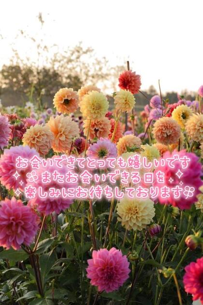 grdr0054363456_0741116225pc.jpg