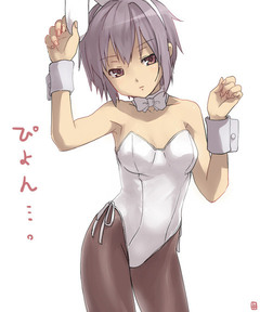 15805960.jpg