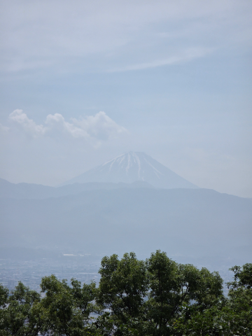 grdr0058753916_0718041729_05.png