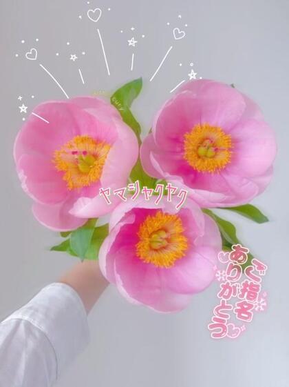 grdr0054363456_0736878694pc.jpg
