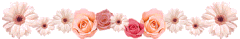 3D6A26A6-614A-434F-B5AF-6AA73A864344.gif