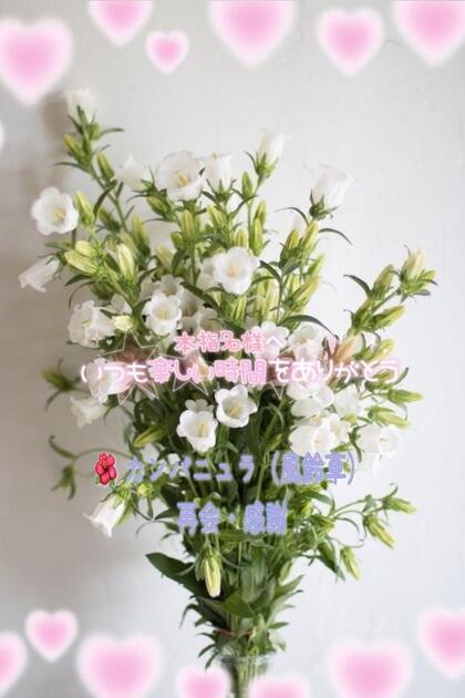 grdr0054363456_0741834561pc.jpg