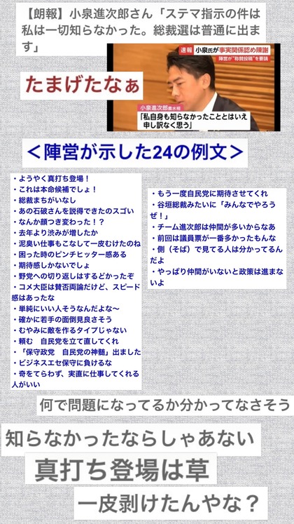 PhotoCollage_1759027820799.jpg