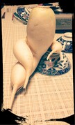IMG_20160916_105204.jpg