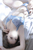 ゆま