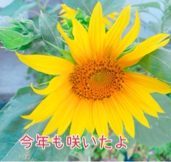10984301-C342-411D-BC49-B8B5EC6CF2B5.jpg