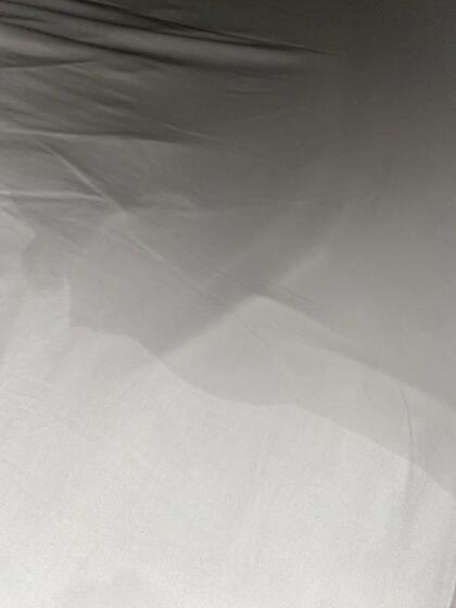 grdr0062367950_0751919779pc.jpg