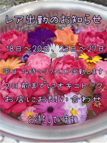 grdr0048189526_0722726945_13.png