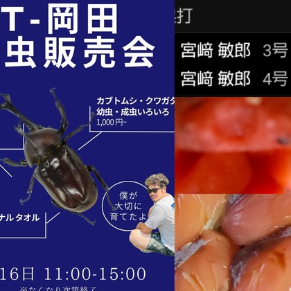 PhotoCollage_1754225924039.jpg