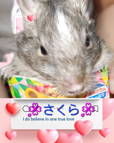 grdr0033633802_0748153414_10.png
