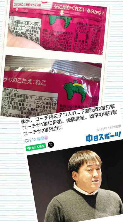 PhotoCollage_1749766309775.jpg