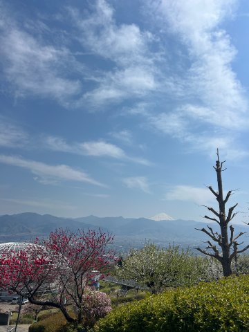 grdr0054122167_0711421236_04.png